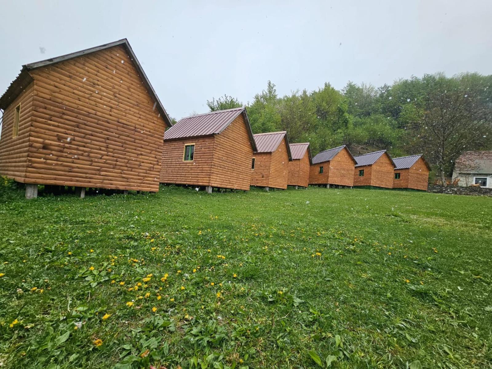 Bujtina Zemra Tradites Тети Номер фото